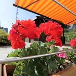 Daeschinger Der Goldene Mond 아파트 Mastershausen