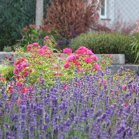 Goldener Mond * Mastershausen