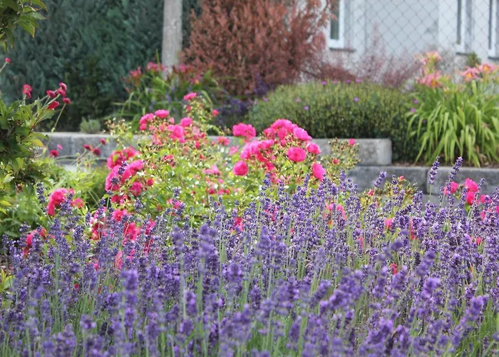 Daeschinger Der Goldene Mond * Mastershausen